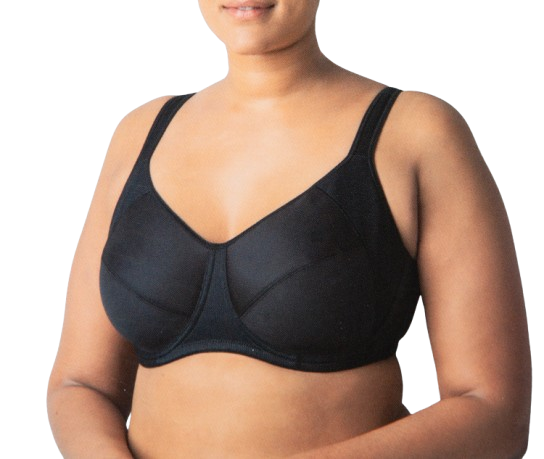 Minimizer Sports Bra - Hillaine